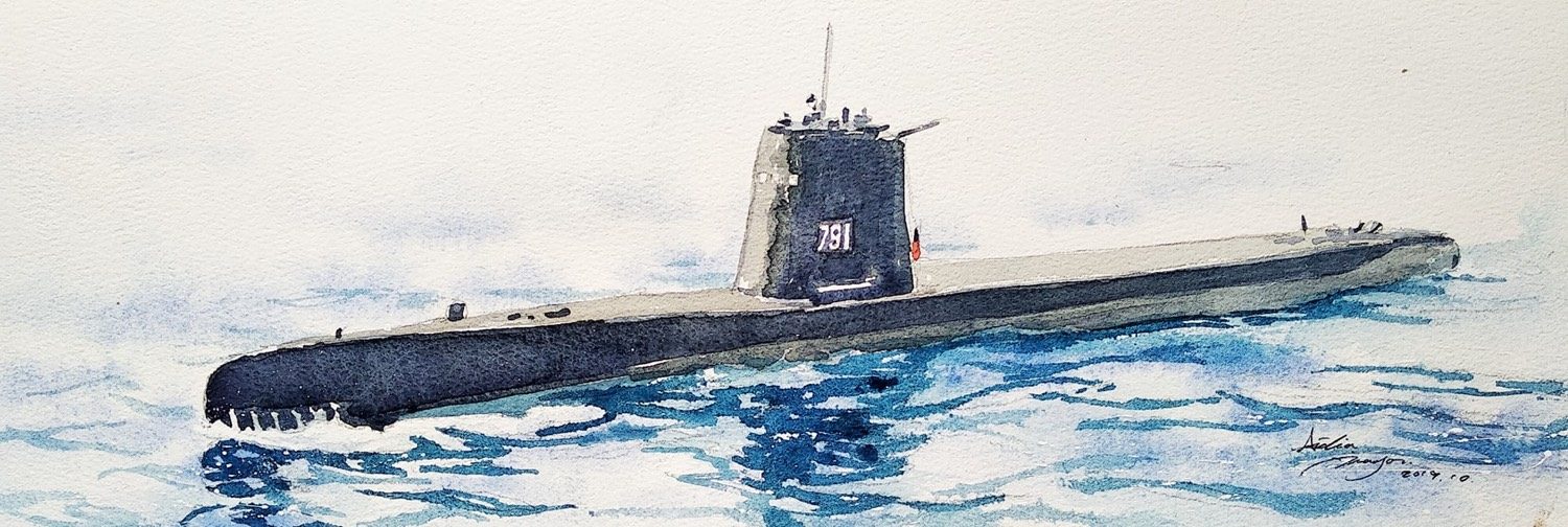 海獅，舷號 791，水彩